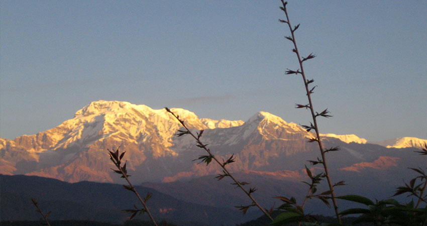 Ghorepani PoonHill Trek